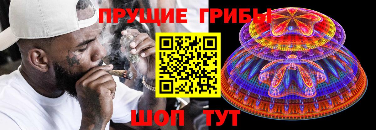 Ростов Великий  Псилоцибиновые грибы прущие грибы  Вход с VPN 